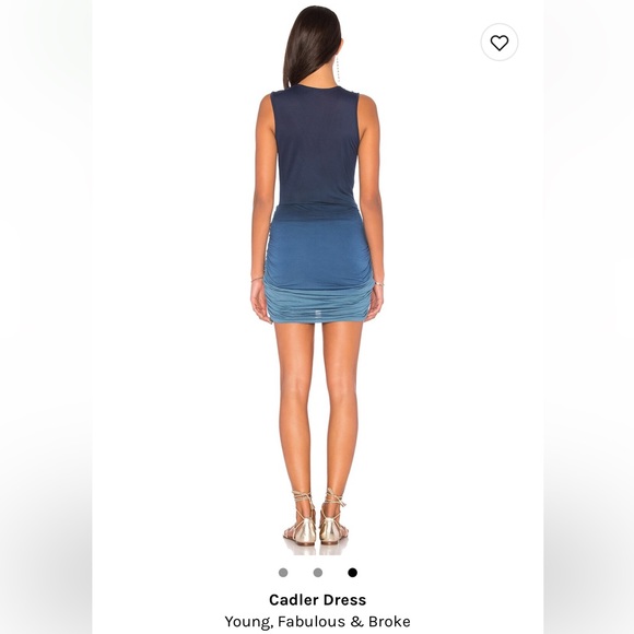 Young fabulous and broke mini dress - Picture 3 of 9